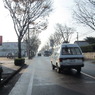朝日のあたる道