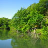 長池公園にて