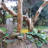 津布田八幡宮