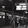 東京駅のゴールデンタイム！