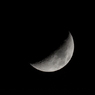 DSC_4293