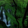 滝と新緑そしてヤマンバ