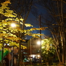 Sigma 24-70mm F2.8 DG DNサンプル写真