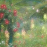 花の時間と色７