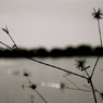 2010/11/28