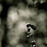2010/12/23