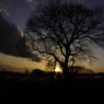 photo_961030
