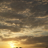 夕日