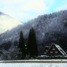 三連合掌　冬の朝
