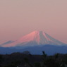 1228-sampo ピンクの富士山