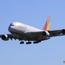 「蒼空」ASIANA A380-841 HL7626  Landing