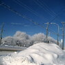 雪景色