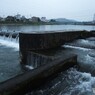 今日は雨でした(*^-^*)