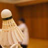 2010全体会