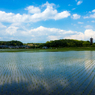 梅雨の中休み