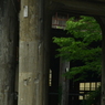 過行く儘に。