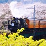 春の橋梁を渡る