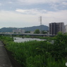 橋の見える景色