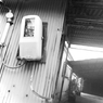 DSC00791raw