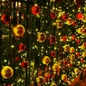 Xmas illumination　