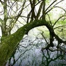 DSC00798
