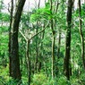 DSC00803