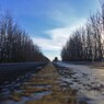 ON THE ROAD / FROZEN
