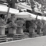 「2:1 format 試写」 (film)
