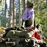 御眷属・お使いの神山犬(ニホンオオカミ）の像ー１