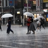 問答無用の雨
