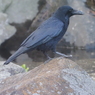 長久保公園