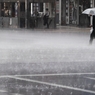 雨を踏んでゆく