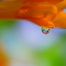 水滴の中に