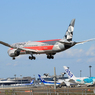 「スカイ」ETIHAD F-1 787-9 A6-BLV  Landing