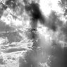 IN THE AIR