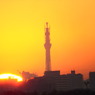 スカイツリーと日の出