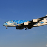 「あおぞら」 Flying Honu  A380-841 到着です