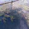 DSCF0861
