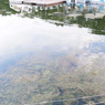 DSCF0872