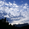 DSCF0904