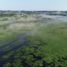 海霧の牧場　湿原から