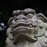狛犬_新井天神北野神社