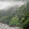 わたらせの川霧