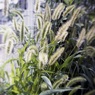 「Gakkenflex改」 (film)