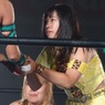 スターダム今後の予定は
