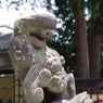 子育て狛犬_沼袋氷川神社
