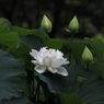 魂