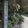 弥山入口なう