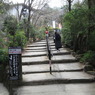 階段なう