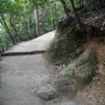 山道なう